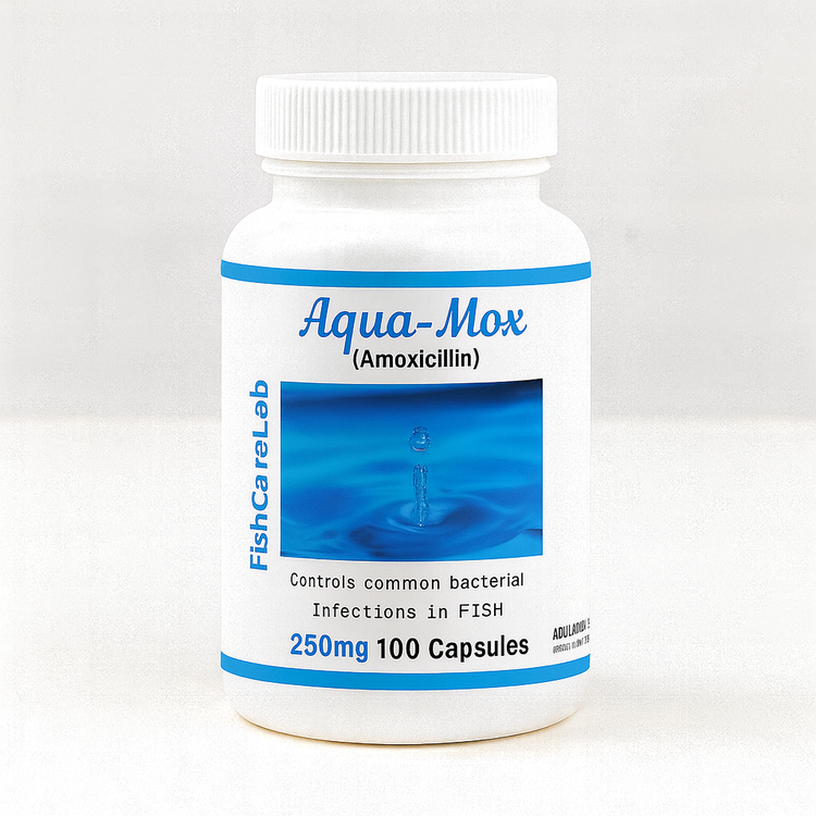 Aqua Mox 250mg 100 Capsules