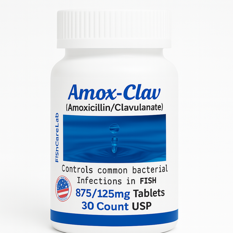 Fish Amoxicillin Clavulanate 875