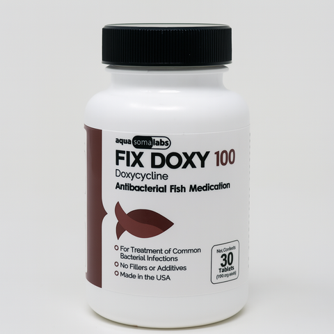 Fish Doxycycline 100mg 30 Count