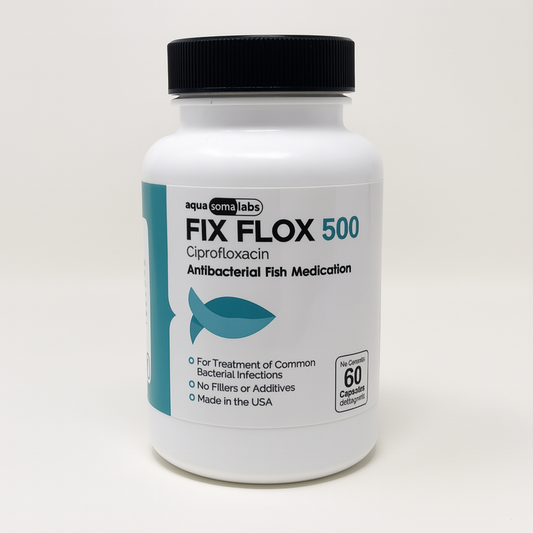 Fish Flox - Ciprofloxacin 500mg 60 Capsules