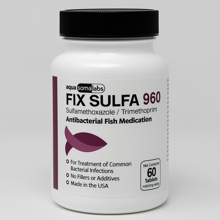 Bird/Fish Sulfa - Sulfamethoxazole 960mg 60 Tablets