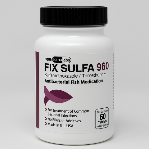 Bird/Fish Sulfa - Sulfamethoxazole 960mg 60 Tablets