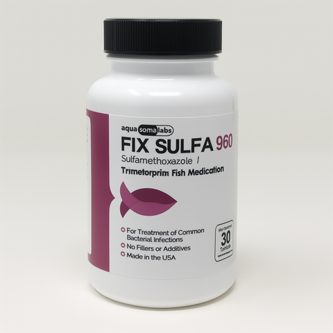 Fish Sulfa - Sulfamethoxazole/Trimethoprim 960mg 30 Tablets