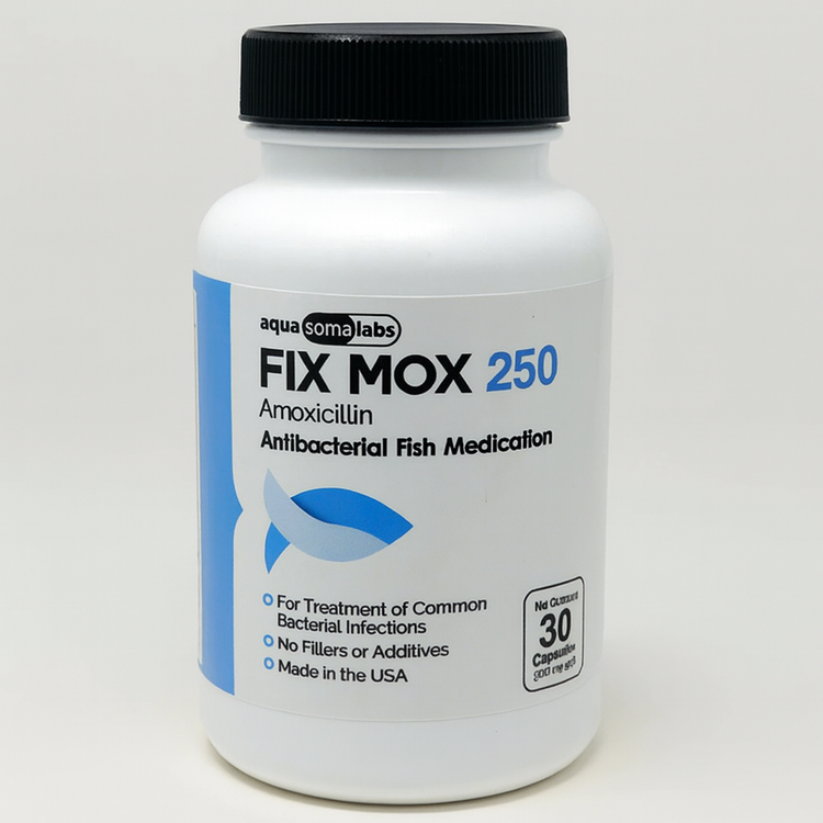 Fish Mox - Amoxicillin 250mg 30 Capsules