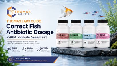 Thomas Labs Guide: Correct Fish Antibiotic Dosage and Best Practices for Aquarium Care