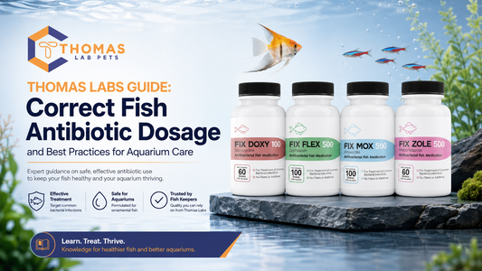 Thomas Labs Guide: Correct Fish Antibiotic Dosage and Best Practices for Aquarium Care