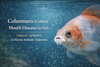 Columnaris (Cotton Mouth Disease) in Fish: Diagnosis, Symptoms & Effective Antibiotic Treatments