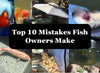 Top 10 Common Aquarium Mistakes & How to Avoid Them - Thomas Labs fish antibiotics
