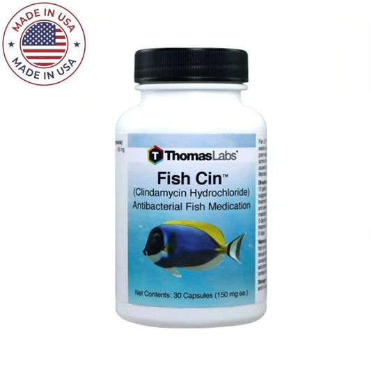 Fish Clindamycin