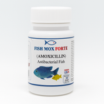 Fish Mox Forte 500mg 100 Capsules 