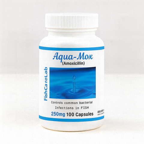 Aqua Mox 250mg 100 Capsules 