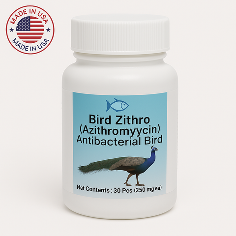Bird Zithro 250 