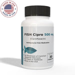 Thomas labs Fish Flox Forte - Ciprofloxacin 500mg Capsules (30 Count) - Thomas labs fish antibiotics