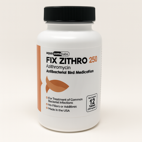 Fish Zithro - Azithromycin 250 mg 12 Tablets 
