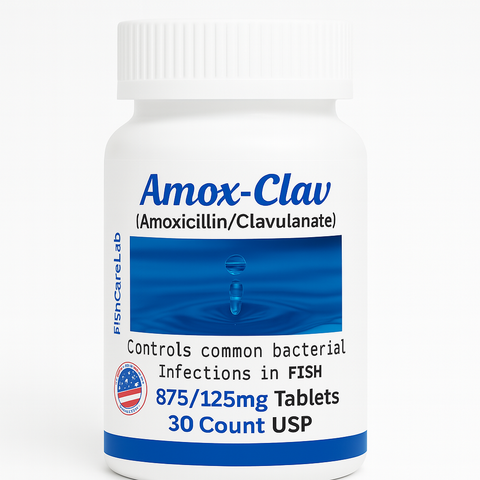 Fish Amoxicillin Clavulanate 875