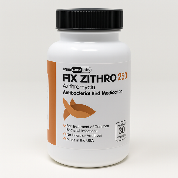 Fish Azithromycin 250 mg Tablets (30 Count) 