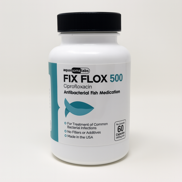 Fish Flox - Ciprofloxacin 500mg 60 Capsules 