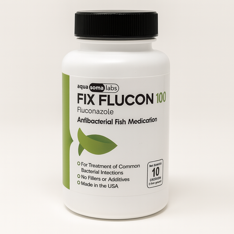 Fish Fluconazole Antifungal 100 mg 10 Capsules 