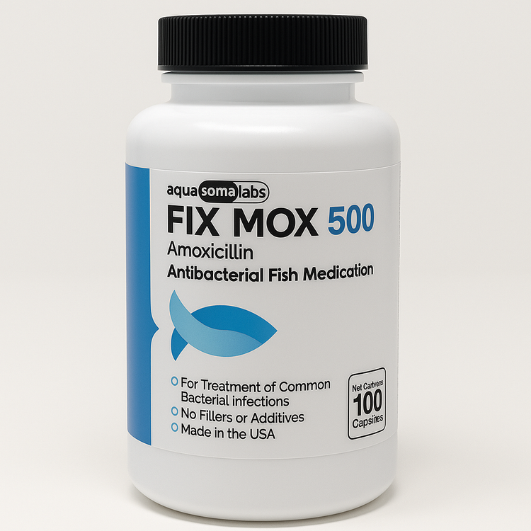 Fish Mox Forte 500mg 100 Capsules 