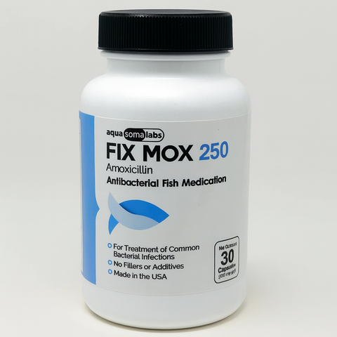 Fish Mox Amoxicillin 250mg 30 Capsules 