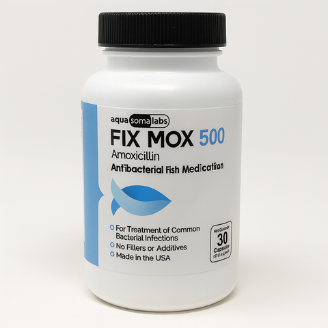 Fish Mox - Amoxicillin 500mg 30 Capsules 